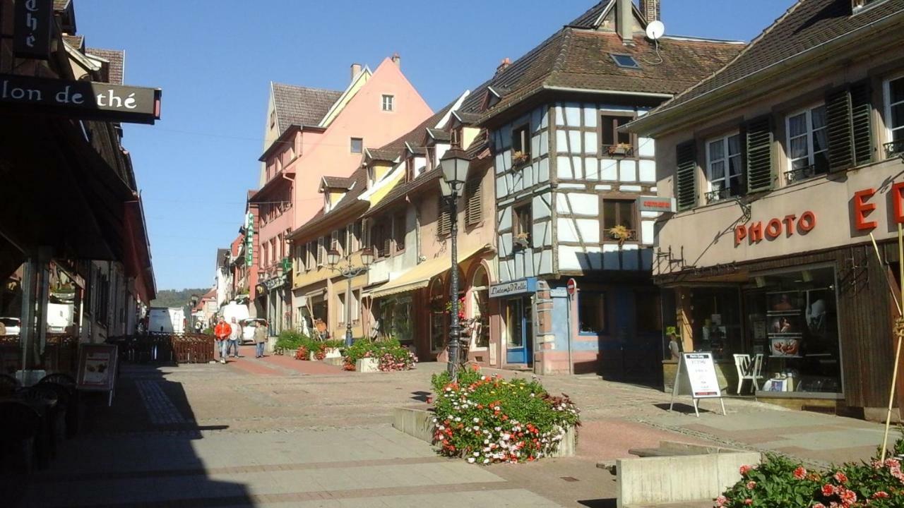 Apartament Maison Bleue Saverne Zewnętrze zdjęcie